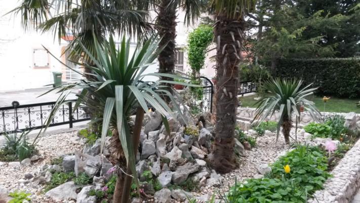 Accommodation Crikvenica