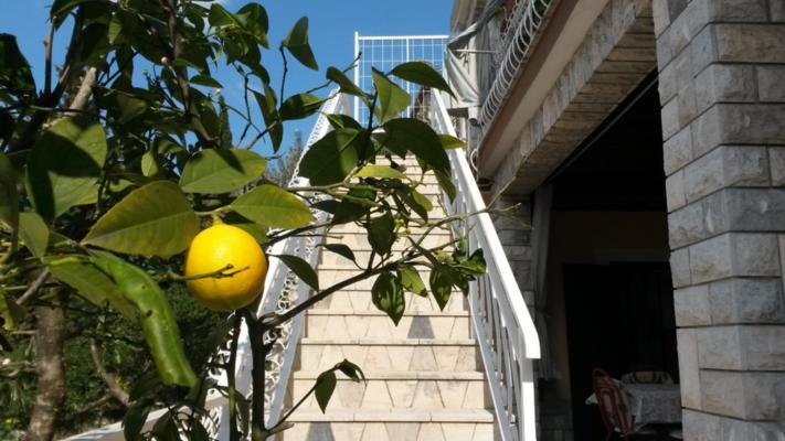 Accommodation Crikvenica
