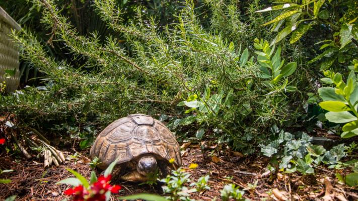 Accommodation Crikvenica