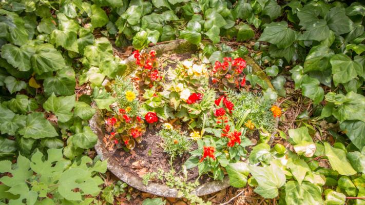 Accommodation Crikvenica